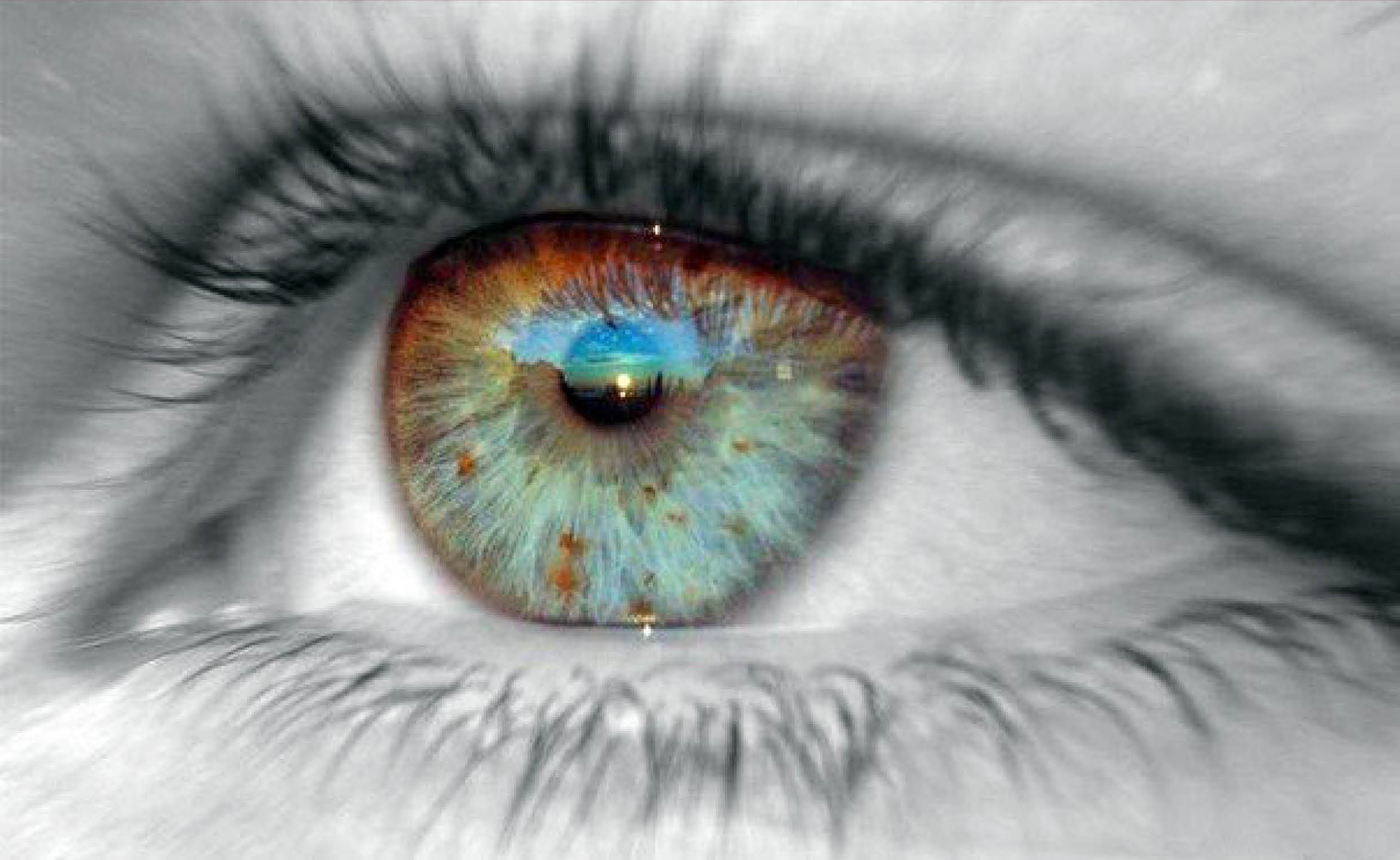 Глаза мысли. Глаза жизни. Визуальная информация картинки. Глаза Зрительная память. Чудо глаза.